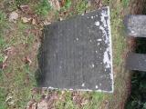 image of grave number 589080